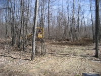 CabinFever 059